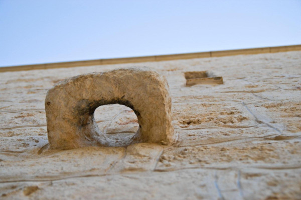 Degustazione Esclusiva di Olio Extravergine in Masseria