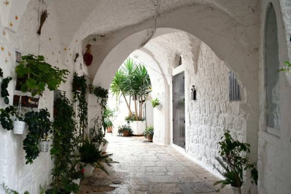 Authentic Routes: Locorotondo, Cisternino & Ostuni con Pick-Up da Bari