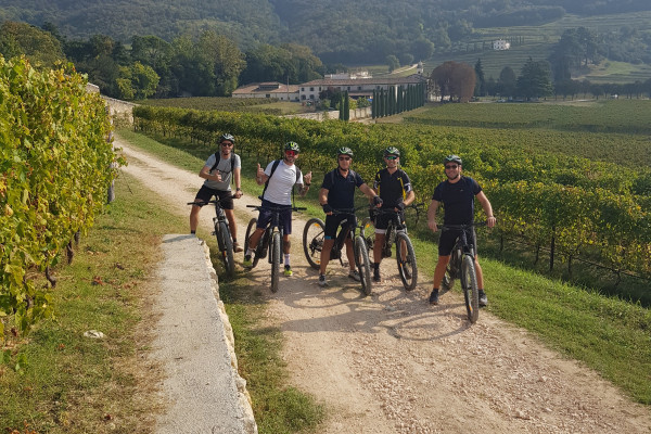 Le colline del Bardolino