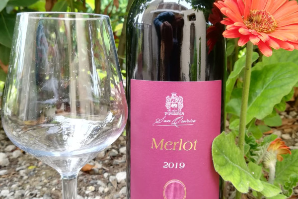 Cuopon Regalo Gourmet Wine Tour