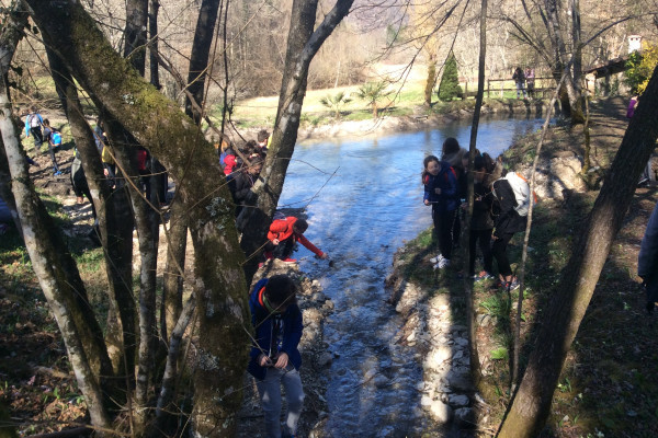 Come aiutare i tuoi Ragazzi a vivere e gioire nella Realtà "reale" della Natura