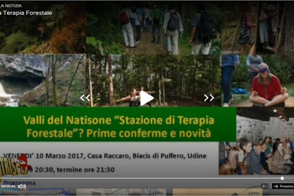 Grazie ai professionisti che hanno portato i Soggiorni climatici montani, i Bagni di Foresta e la Terapia Forestale in Italia