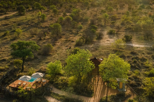 Veduta aerea della casa sull'albero