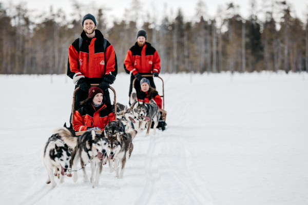 Sulla slitta con gli husky