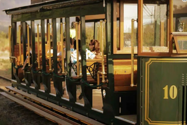 Il tram storico in mezzo ai vigneti