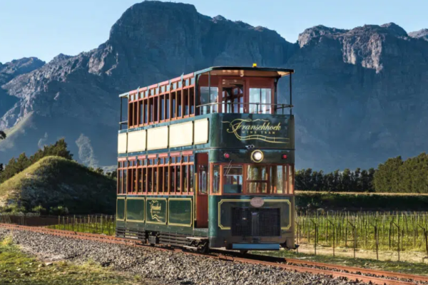 Nel mezzo delle Winelands