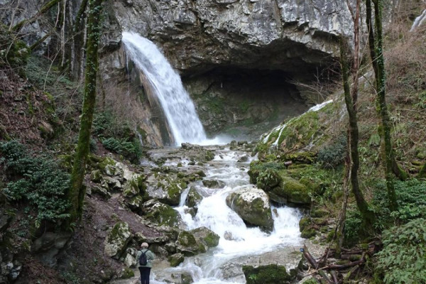 Un particolare del Sentiero di Terapia Forestale n 1. presso la Stazione di Terapia Forestale Friuli Venezia Giulia, 2021.