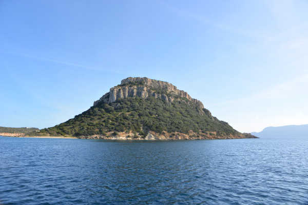 Figarolo