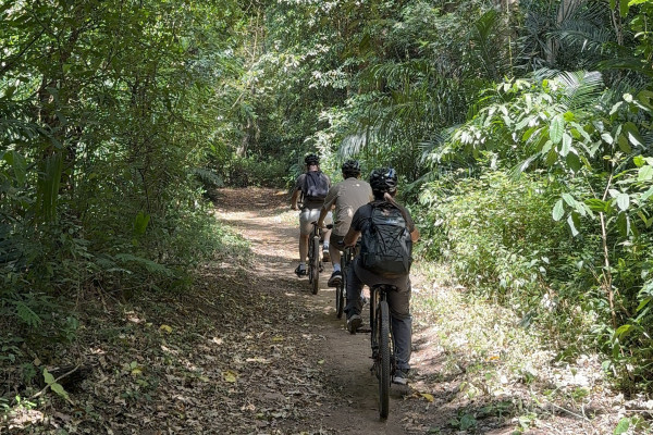 Esplorazione della Foresta di Rau in mountain bike 