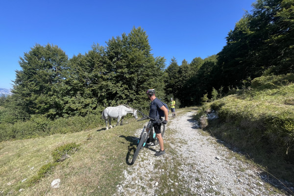 Esperienza in mezzo alla natura