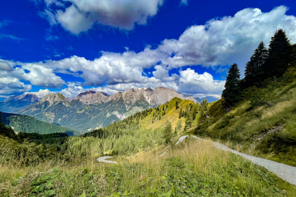 Strade panoramiche delle malghe
