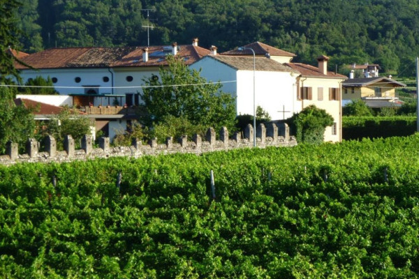 Tra le colline e i boschi dei Colli Orientali .... 