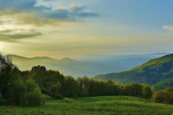 ...nelle Prealpi Giulie Meridionali, uno dei luoghi più ricchi di alberi del Nord Est Italia.