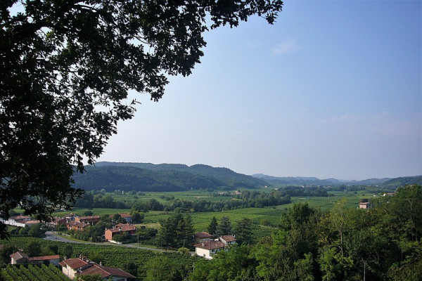 Una veduta sulla Valle di Prepotto da Albana 