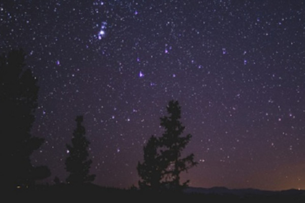 Le stelle sul bosco