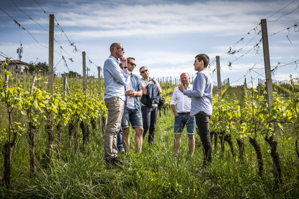 La visita in vigna