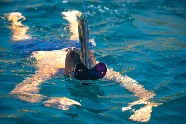 Snorkeling