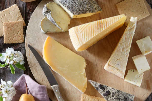 Cheese tasting
