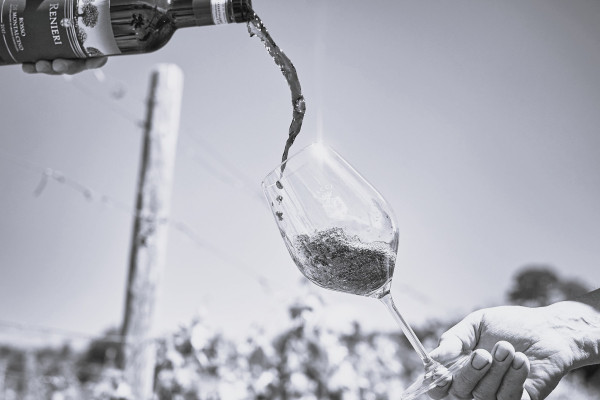 Sangiovese