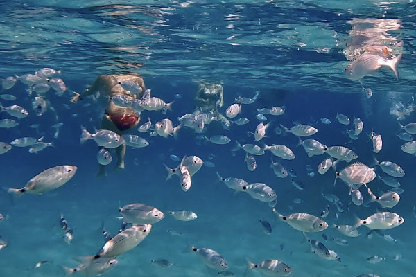 SNORKELING