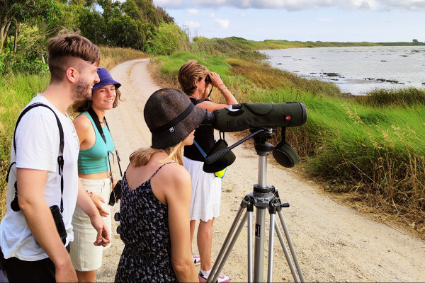 Birdwatching nelle lagune di Cabras