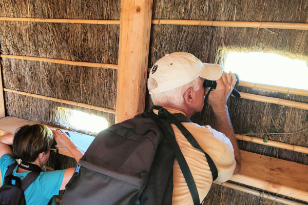 Birdwatching nel capanno