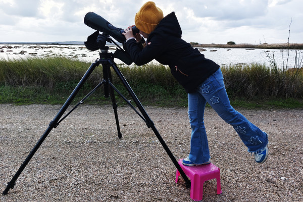 Birdwatching per tutte le età