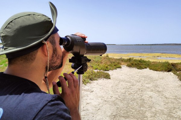 Birdwatching con cannocchiale