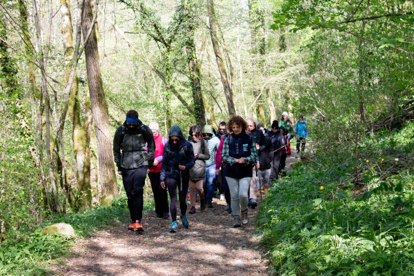 Edizone passata FEFF 2025: Incontri preziosi tra anime, natura e connessione.
Immagini della manifestazione che catturano i ricordi del qui e ora...