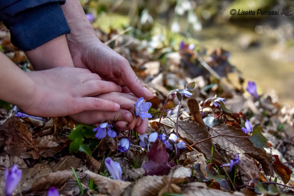 In primavera, dove natura e uomo si uniscono per crescere, rigenerarsi e rigenerare insieme.