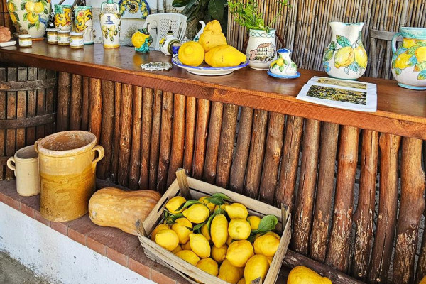 Lemon Tour Amalfi Coast + Transfer & Tasting Experience
