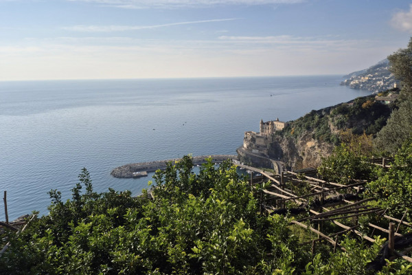Lemon Tour Amalfi Coast + Transfer & Tasting Experience
