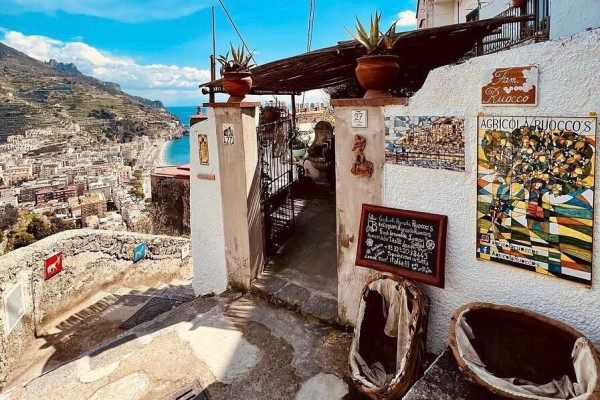 Lemon Tour Experience in Amalfi Coast – Tasting, Aperitivo or Lunch

