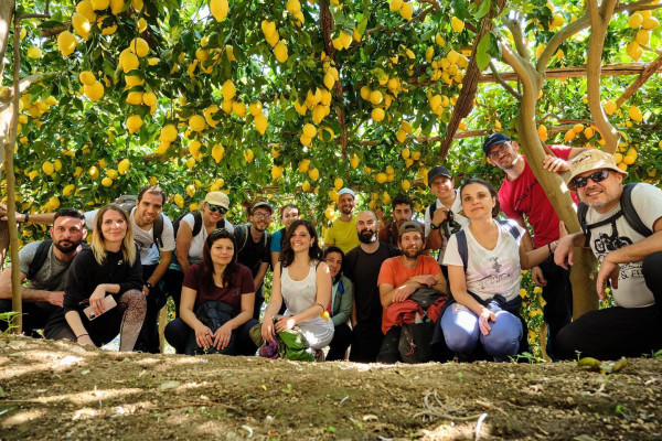 Lemon Tour Experience in Amalfi Coast – Tasting, Aperitivo or Lunch

