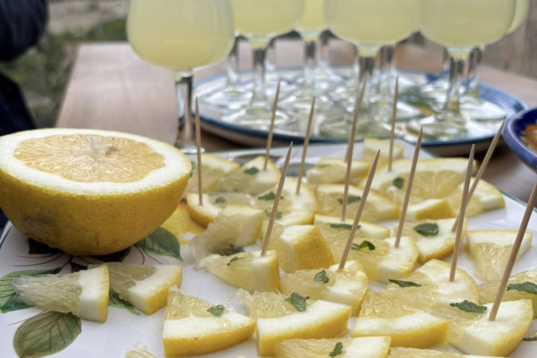 Lemon Tour Amalfi Coast + Transfer & Tasting Experience
