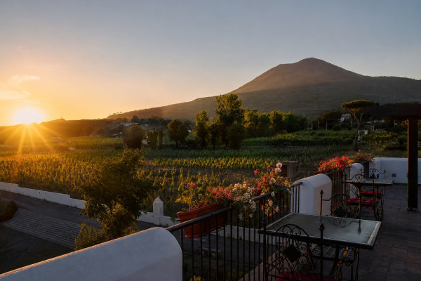 Cantina del Vesuvio: Tour, Pranzo e Degustazione

