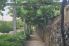 Tour Privado Vinho Verde