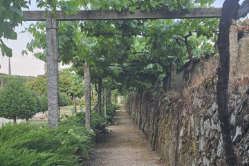 Tour Privado Vinho Verde