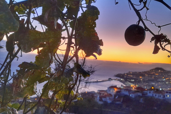Jantar com uma vista magnífica sobre o Funchal