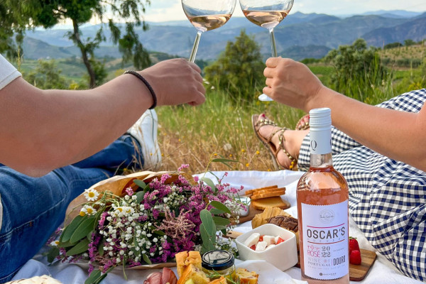 Picnic nas vinhas