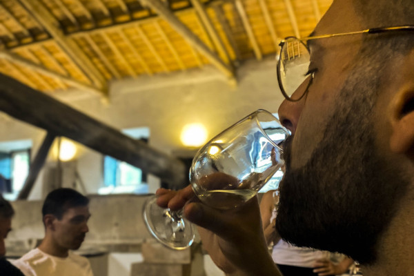 Wine tasting