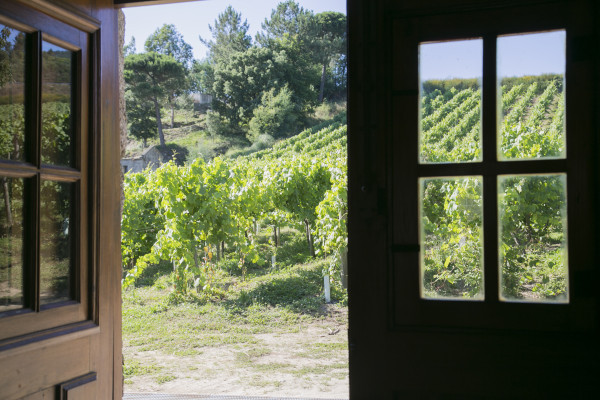 Quinta de Lourosa