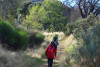 Senderismo por los Montes de Madrid