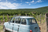 RALLY RUTA DE LOS VINOS DE ALSACIA