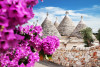 Medio día en la ciudad de trulli con traslado en minivan.