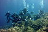Discover Scuba Diving