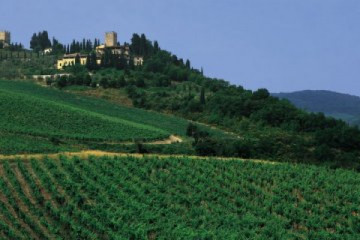 Al Castillo de Giovanni da Verrazzano: el navegante y su vino