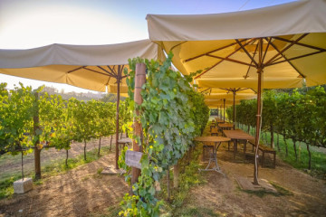Puesta del sol en el Chianti con cena