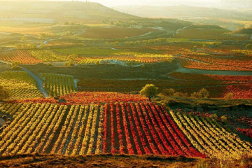 Rioja
