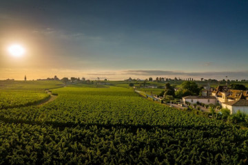 Saint-Émilion y Pomerol